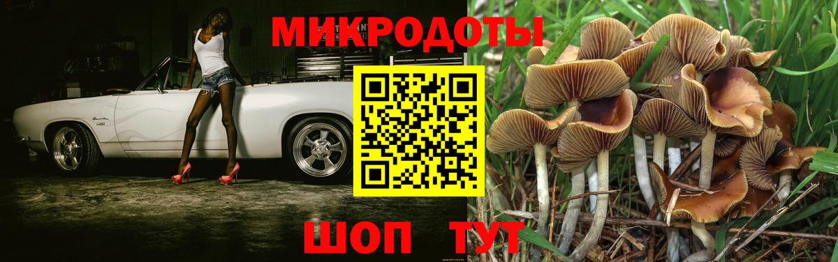 Галлюциногенные грибы прущие грибы  Вход с VPN  Тамбов 